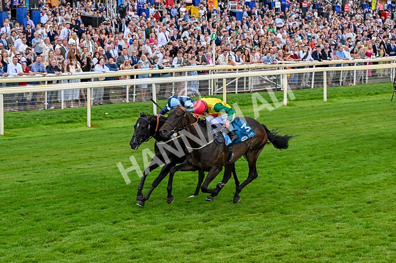 250726-Race 7-Flight Control-1329 - Race 7 16.52pm Sky Bet Extra Places Handicap