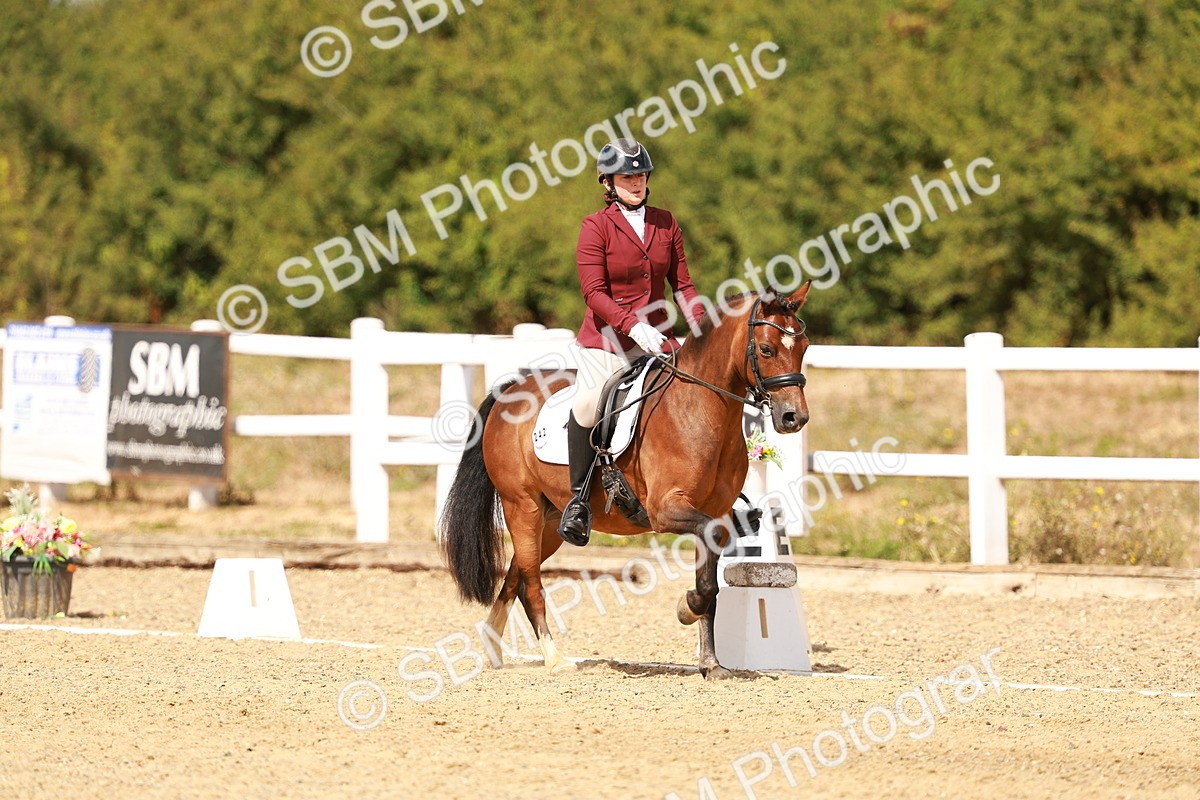SBM_018631 - Class 9 - N5 Bronze 11.57.13.07