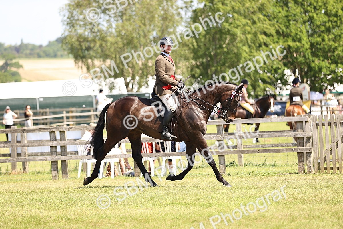 SBM_15008 - Class 78 - LIHS BSHA Open Racehorse & Show Horse