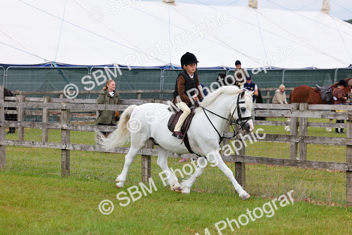 SBM_08474 - Class 42-43 - LIHS BSPS Heritage Working Sports Pony