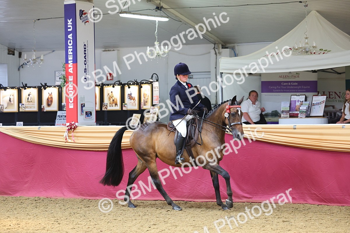 SBM_24064 - Class 905 - Supreme Final - Ridden Veteran