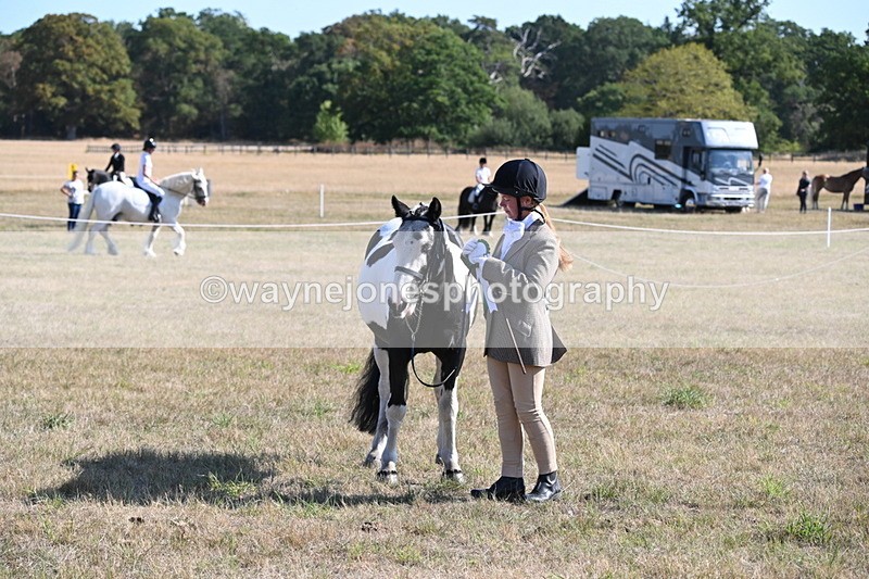 WJ6_7369 - Class 33 Rescue Pony