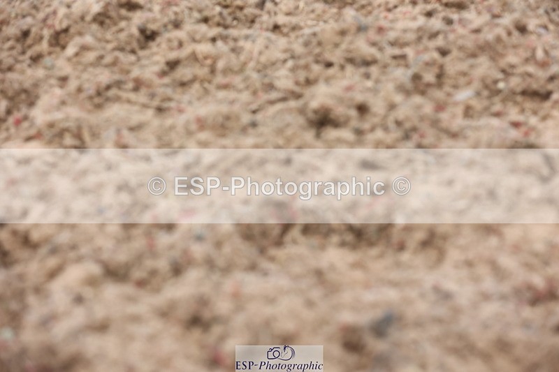 240621A-122403-00726 - Cls 12 BD Music Medium