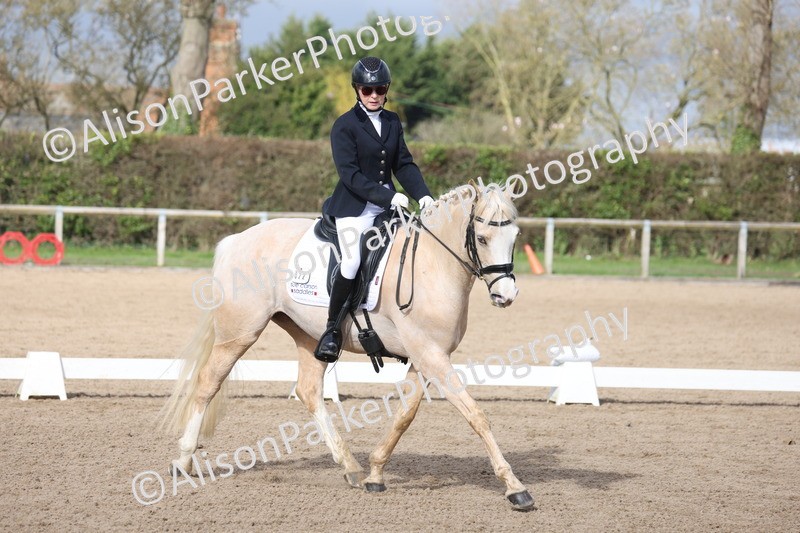 20260301-0653 - Class 4 - Novice 5