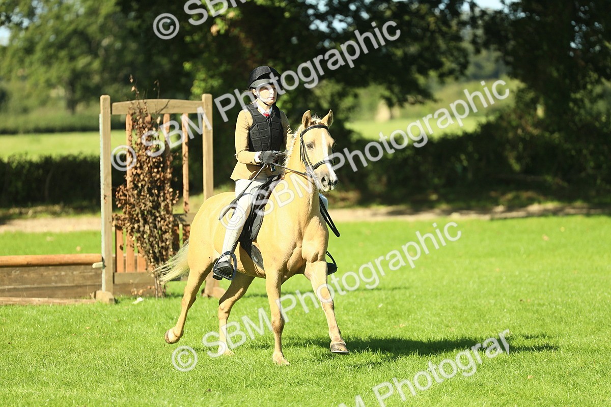 SBM_37482 - S29 - Novice & Newcomers Working Hunter Pony