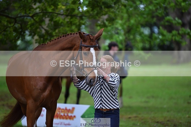 240522-170056-01324 - 233-SILVESTERS_FINESSE-Rosalind_Canter