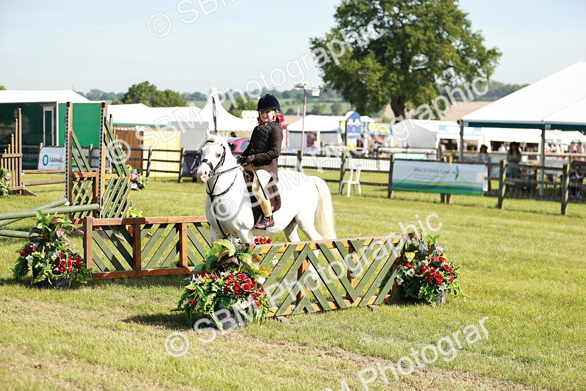 SBM_12623 - Class 106-107 - BSPS LIHS Working Sports Pony