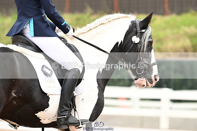 240815A-142904-02049 - 276-Alys.Matravers-Tiger.Tim