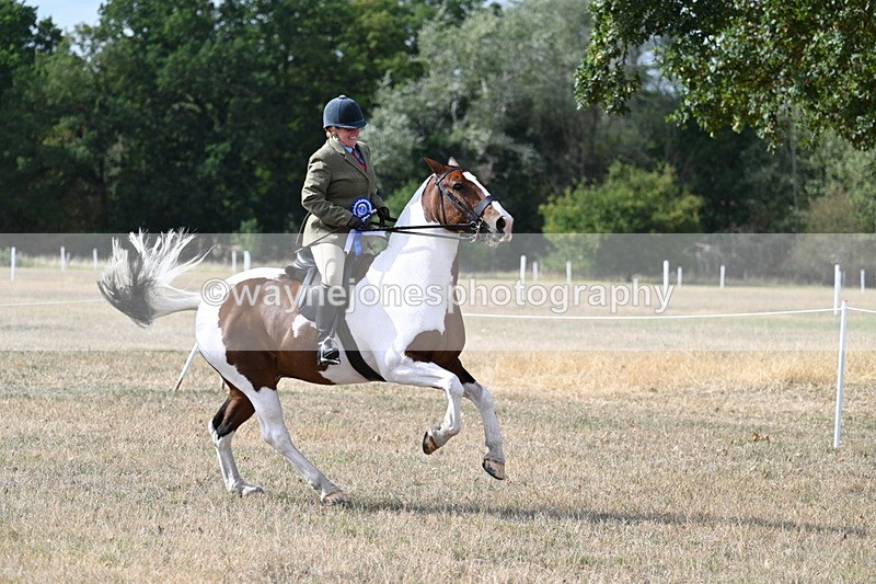 WJ7_7502 - Class 14 Ridden Coloured