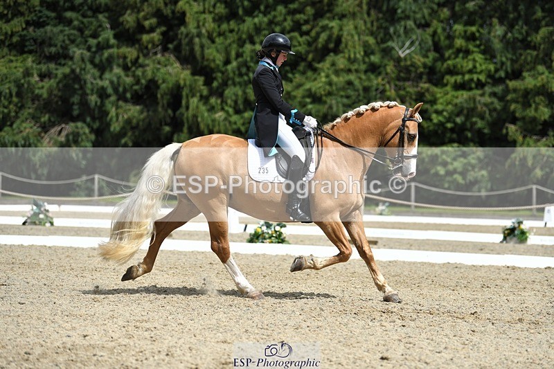 230812-142344-04691 - Cls 7 FEI PSG Bronze