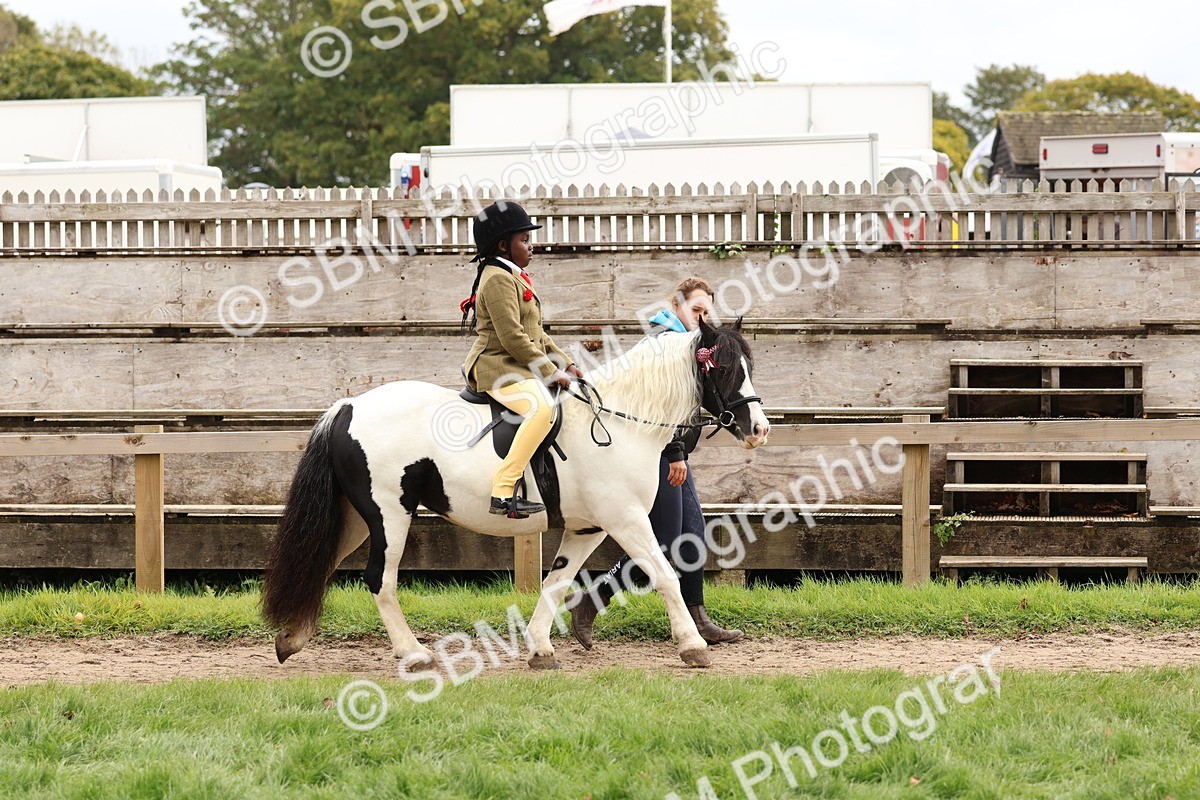 SBM_64368 - S58 - Coloured Pony Ridden