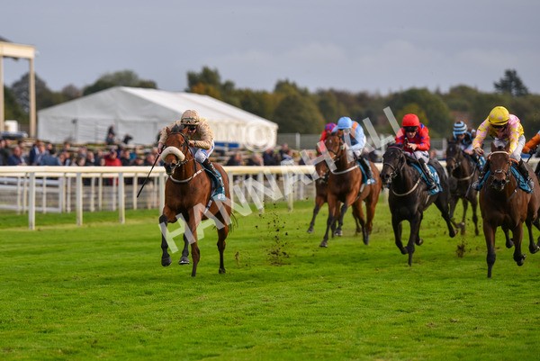 131023-Race 5-Irish Nectar-9673 - Race 5 4.25pm Parsonage Hotel And Cloisters Spa Nursery Handicap