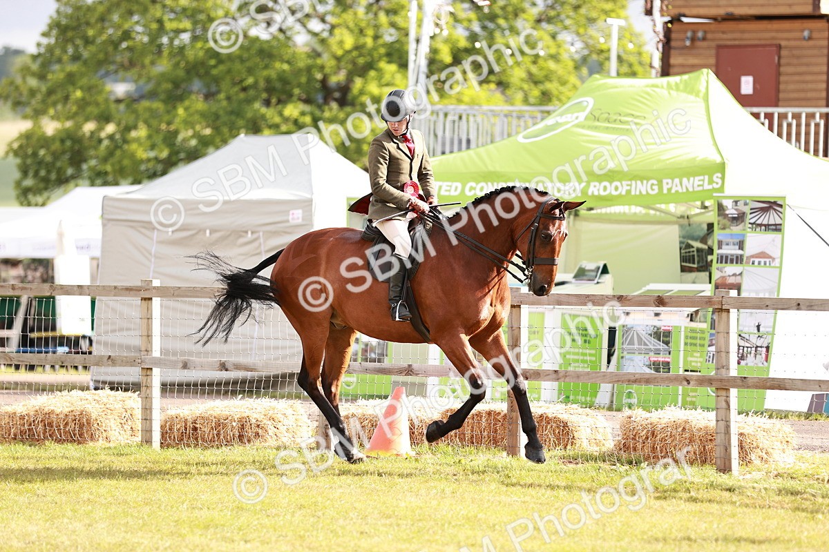 SBM_10825 - Class 81-84 - RIHS Ridden hunters Inc Ladies Hunter