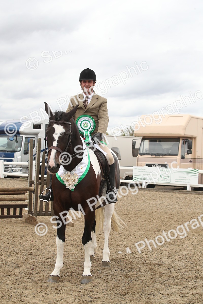 SBM_18325 - Class 509a - Working Veteran - 80cm (15-19)