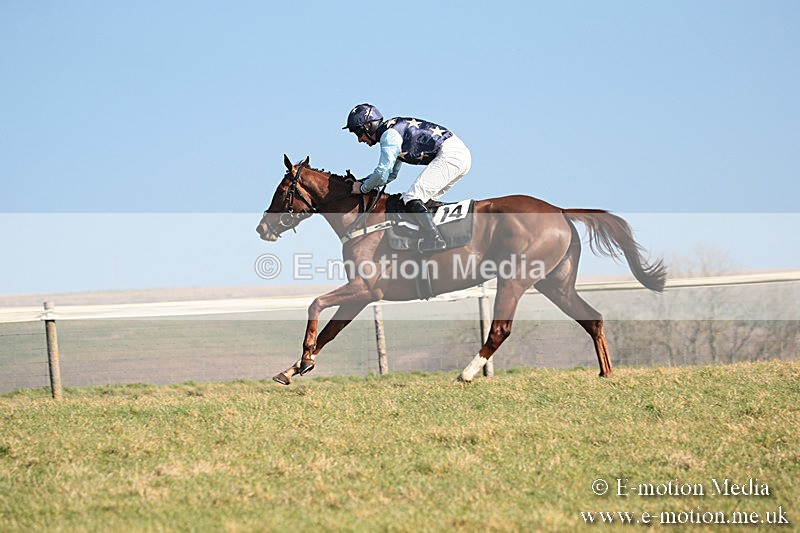 PtP 230219 116 - Vine & Craven Point-To-Point - Barbury 23/02/19