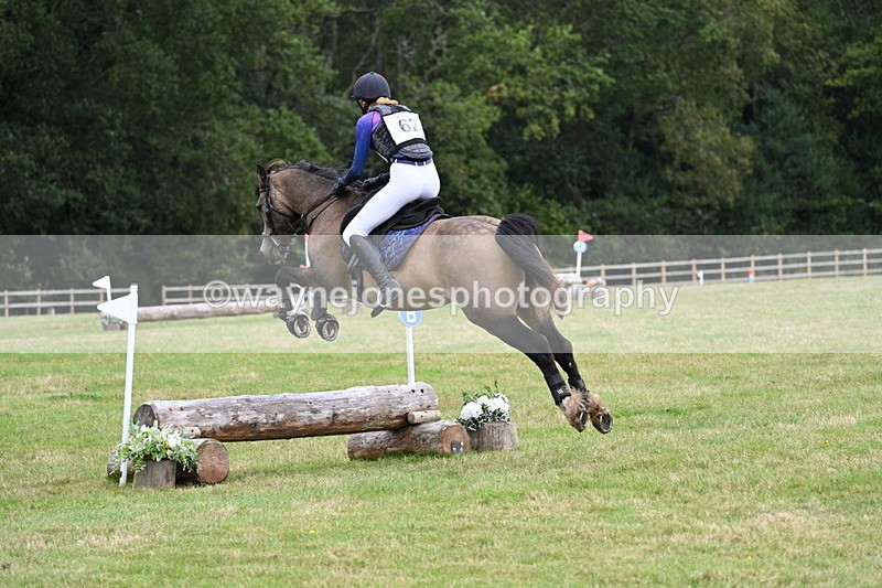 WJ7_8586 - 60cm Time 12:11 to 12:30