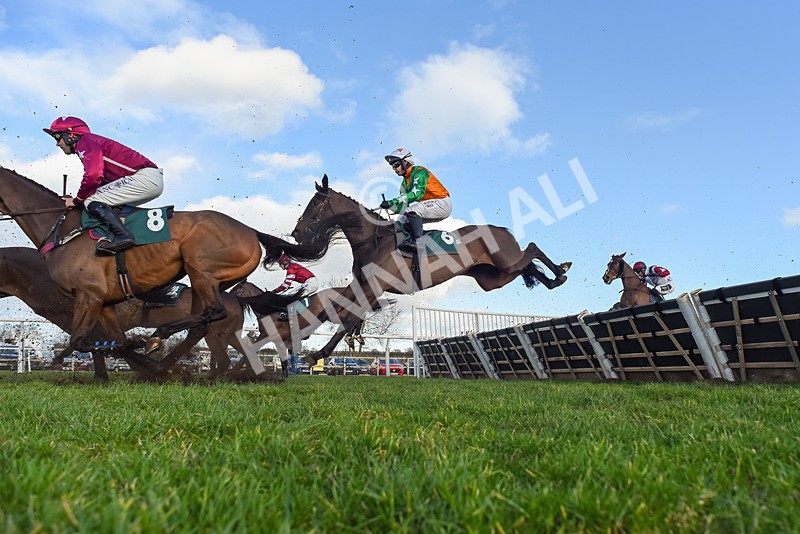 120224-Race 3-Tap N Go Leo-5568 - Race 3