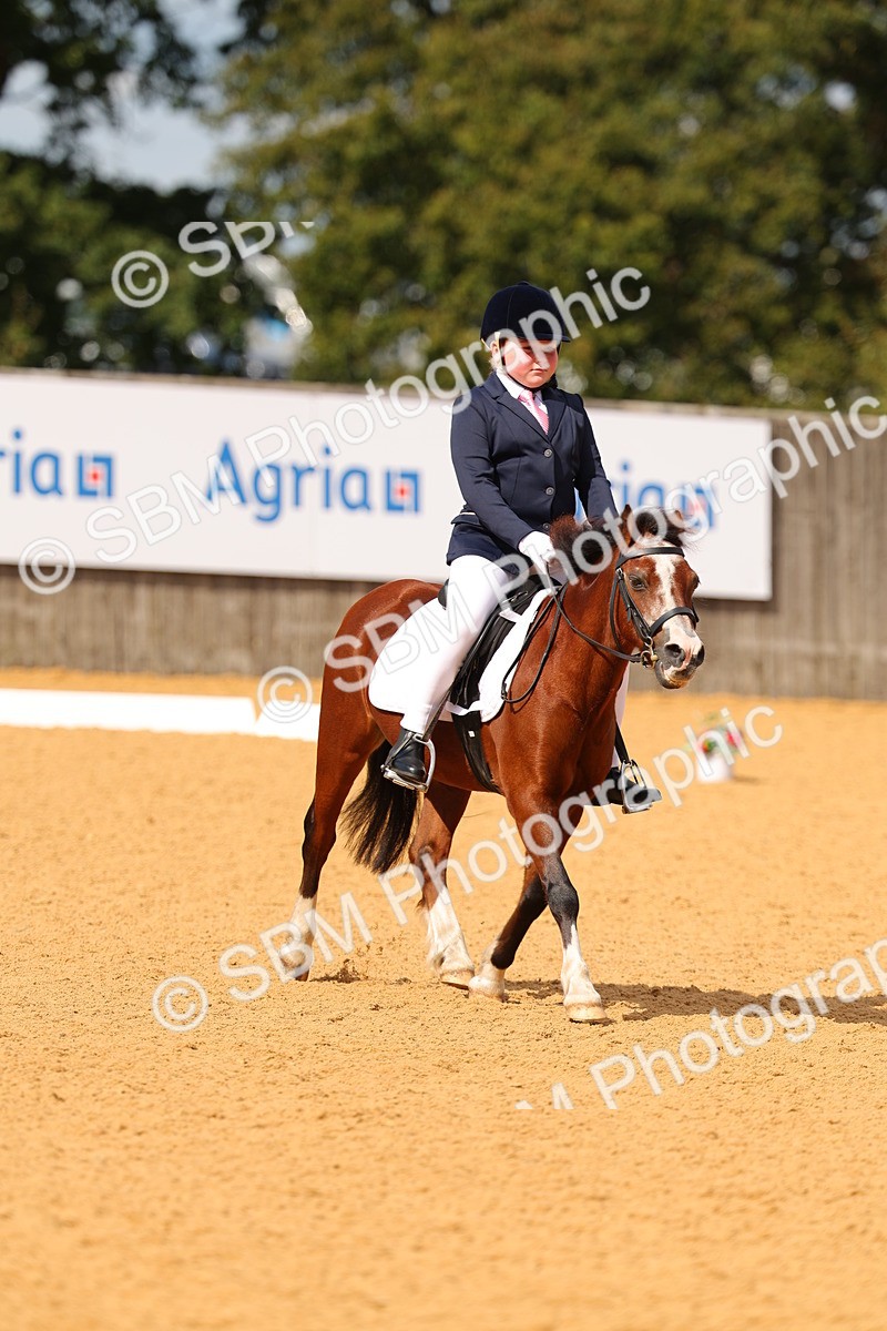 SBM_44057 - D22 - Junior Championship - Intro B