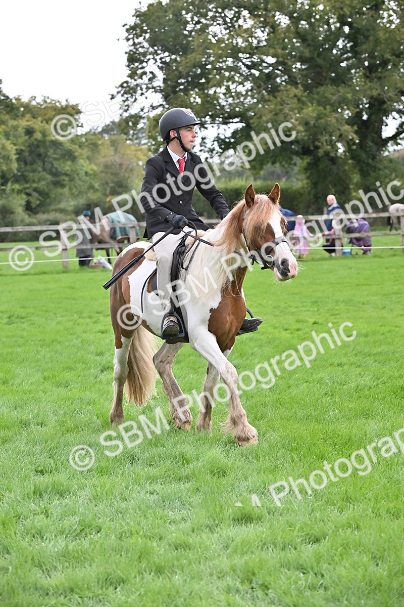 SBM_42917 - S12 - Family Horse & Pony