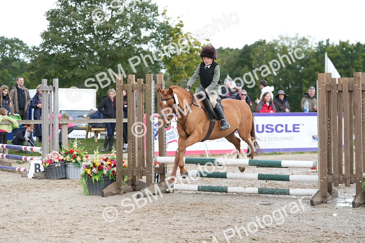 SBM_39877 - J6 - Junior Pony 55cm Championship
