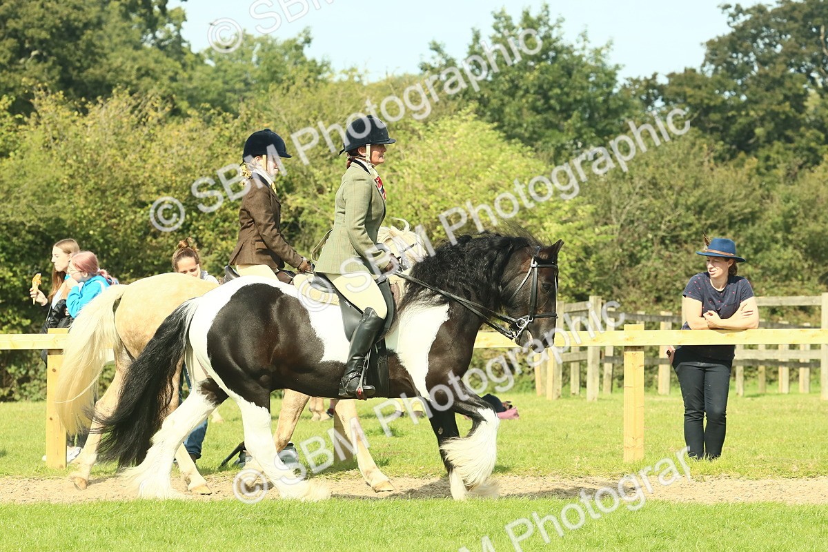 SBM_67440 - S56 - Coloured Pony Ridden
