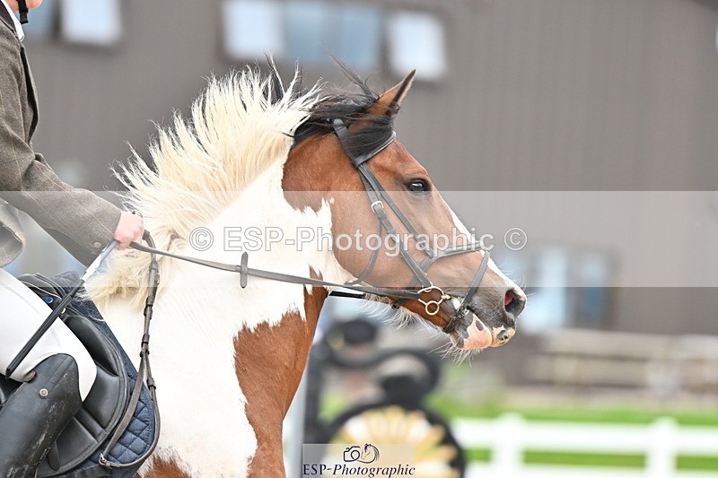 240723A-155628-00030 - 50cm and 60cm