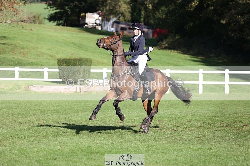 231022-111151-25017 - 617-MR.MISCHIEVOUS-Megan.Brown-TrotUp+SJ