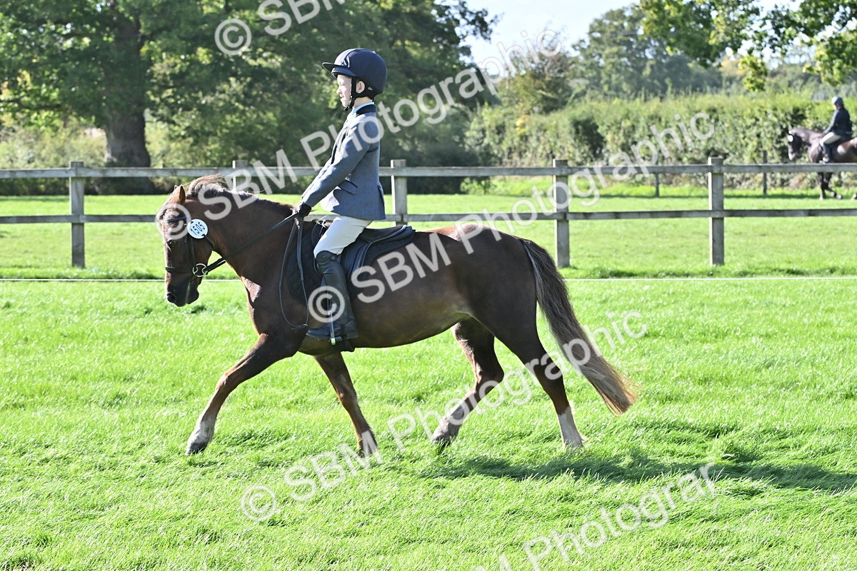 SBM_50251 - S21 - Novice & Newcomers First Ridden