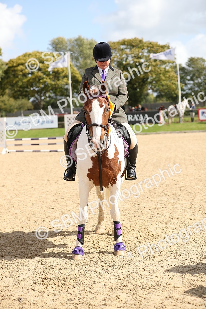 SBM_05829 - J35 - Veteran Rider 60cm