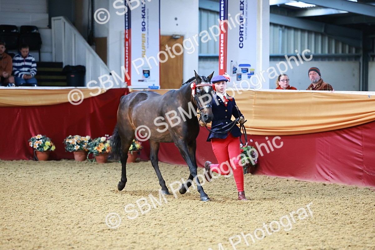 SBM_21717 - Class 901 - Supreme Final - IH  Diamond