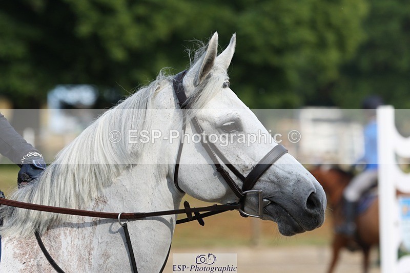 230617-082852-00240 - Cls 08a Pony 1.05