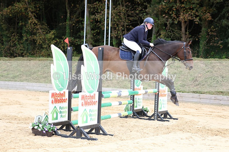 3E7A2284 - Class 4: Senior British Novice/90cm open