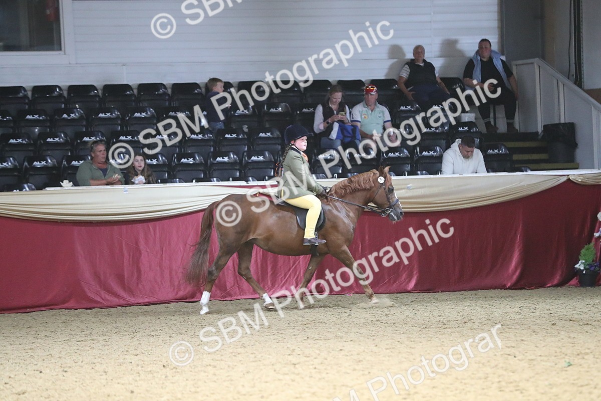 SBM_16401 - Class 502 M&M Ridden Supreme Final