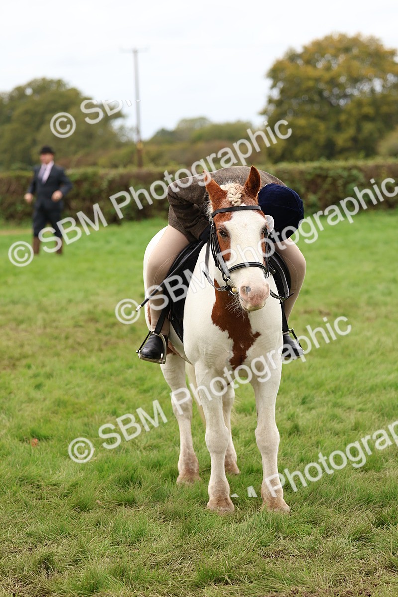 SBM_64572 - S58 - Coloured Pony Ridden