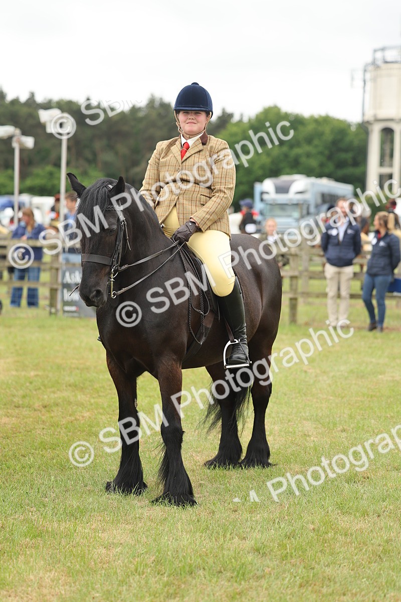 SBM_09019 - Class 78-80 - Ridden M&M Non Welsh Ponies