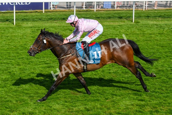 160623-Race 6-Another Investment-0705 - Race 6 4.45pm Irish Thoroughbred Marketing Handicap