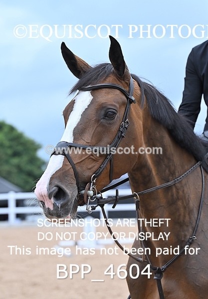 BPP_4604 - CLASS 5 WED Redpost Equestrian Senior Foxhunter/1.20m Open