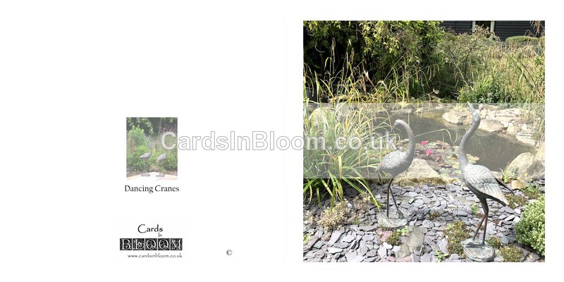 02 Dancing Cranes by a garden pond - GARDENS