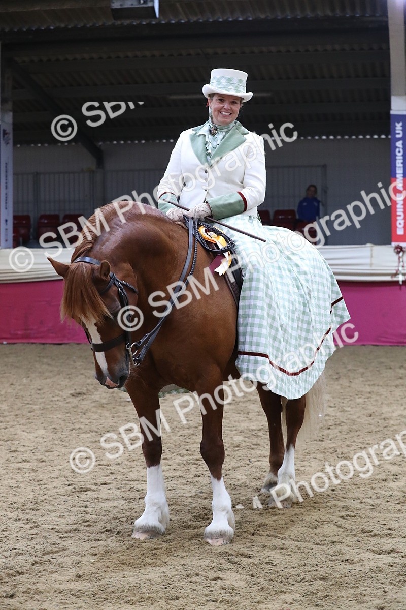 SBM_12062 - Class 106 Ridden Costume- Astride Adult (15-19)
