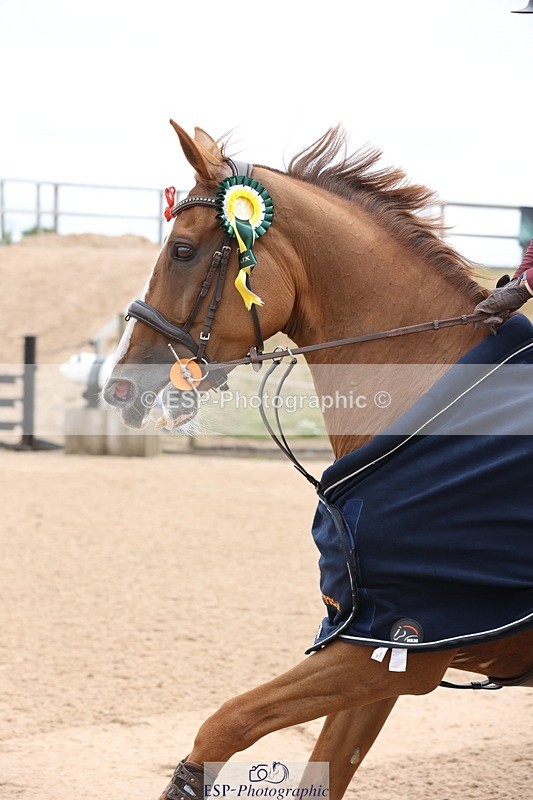 250719-125045-15104 - Cls 11, 1 Star Bronze Tour Jump Off and Presentations