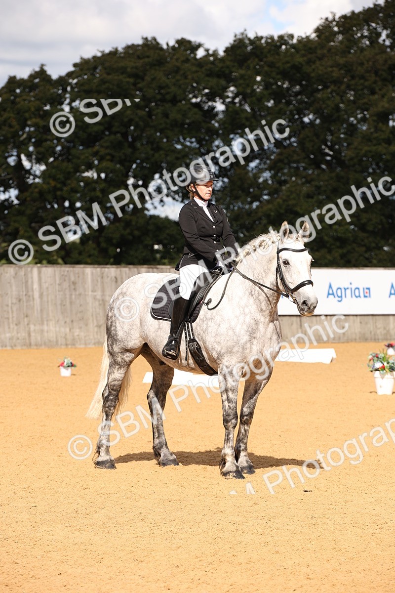 SBM_04301 - D2 Small Tour Championship Intro C