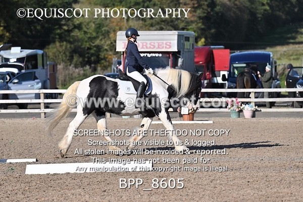 BPP_8605 - SHORT ARENA
