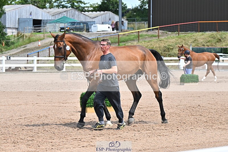 240718A-105312-01697 - Trot Up 1pm to 2pm