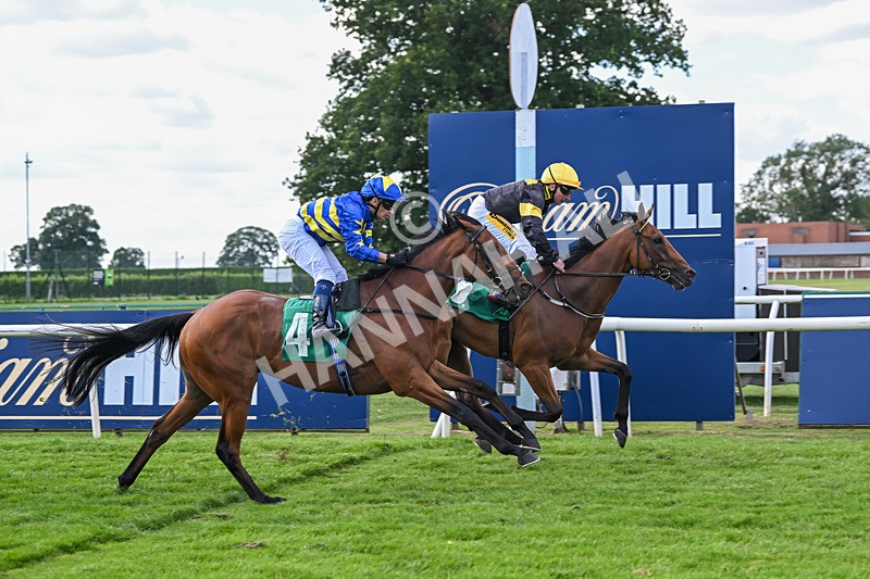 020825-Race 6-Big Leader-3500