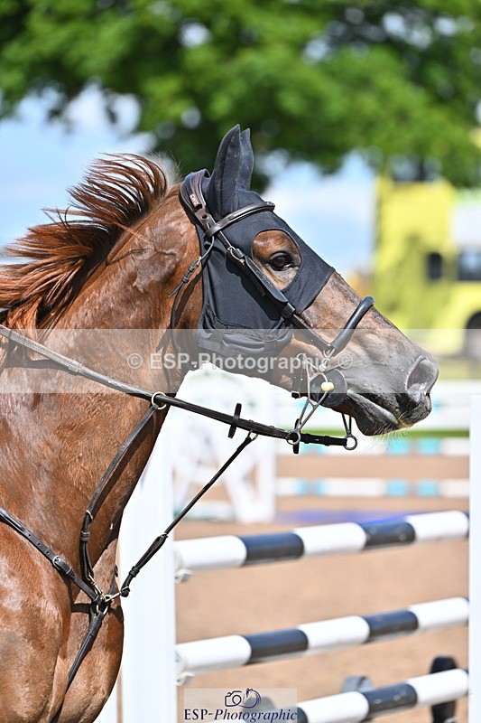 240619A-153018-00833 - Cls 5 Snr Foxhunter and 1.20m Open