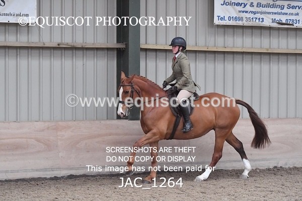 JAC_1264 - CLASS 8 BHS Scotland Riding Club Working Hunter Qualifier (1.00m)