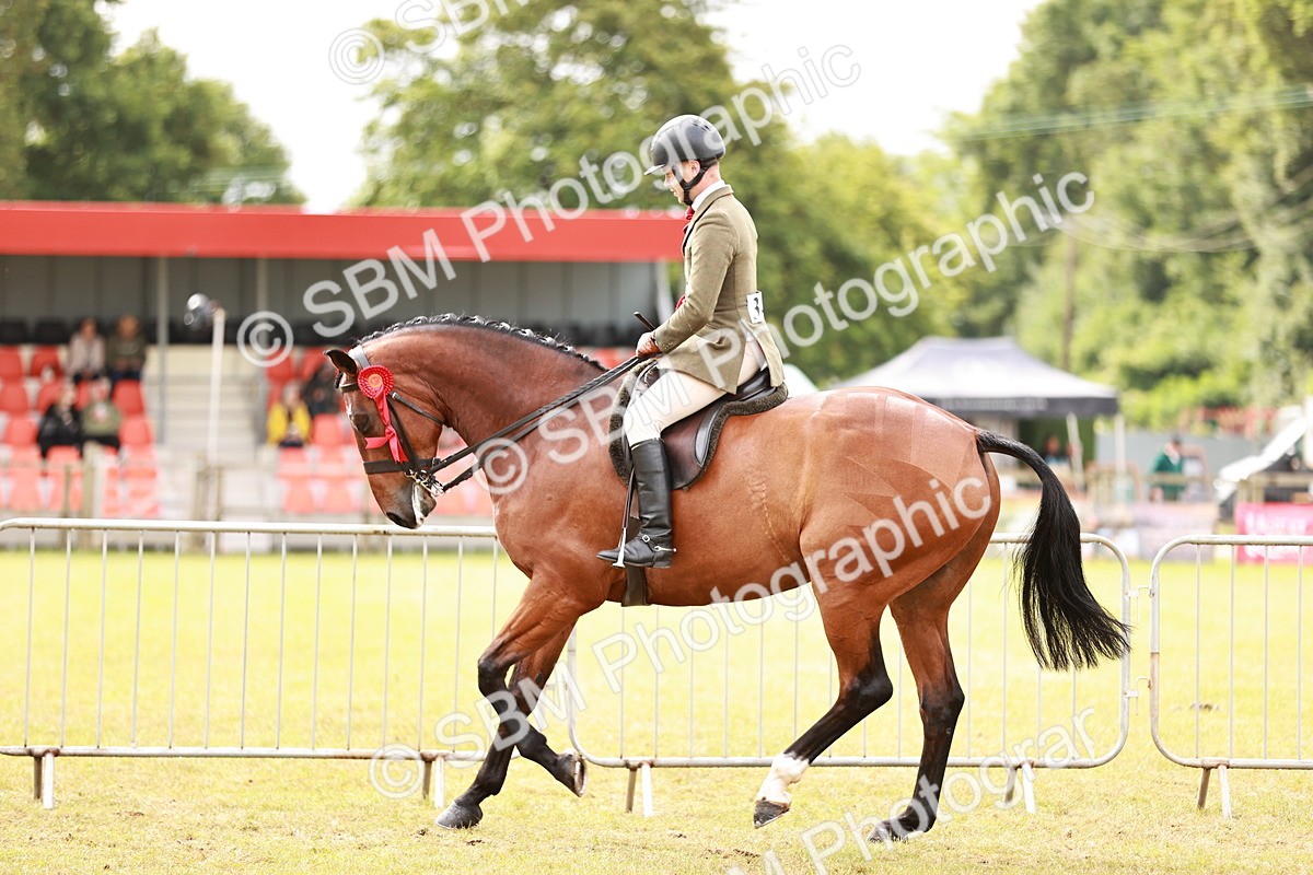 SBM_11586 - Class 81-84 - RIHS Ridden hunters Inc Ladies Hunter