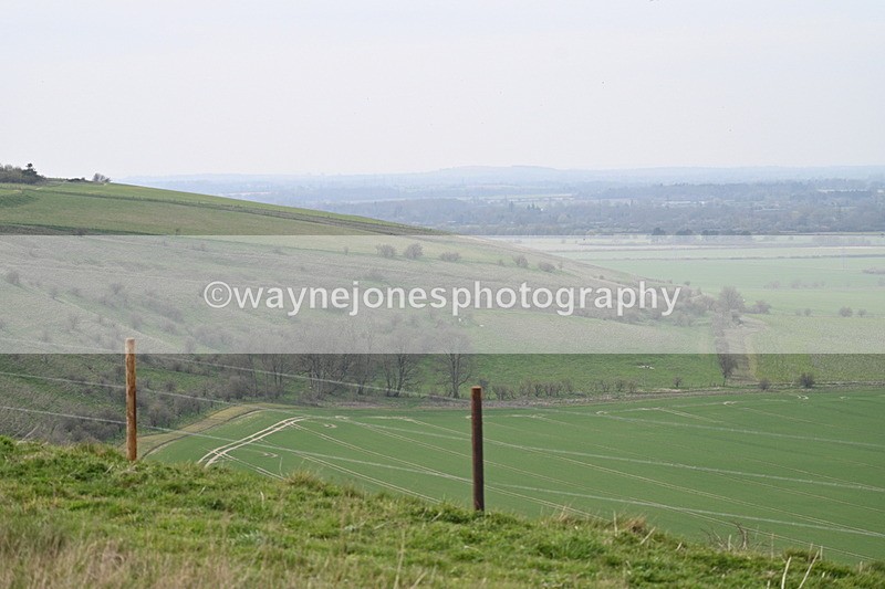 WJ7_8019 - Line 2 A camera