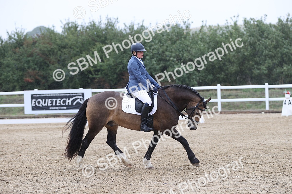 SBM_004447 - Class 9 - Novice 3 Champs