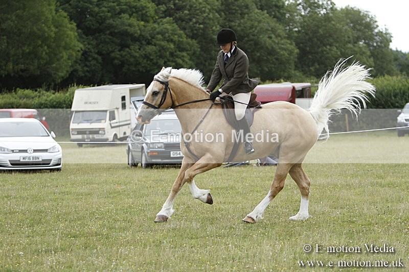 BVR160717-426 - Ring 3 BVRC Show 16/07/17